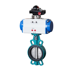 Concentric Butterfly Valve